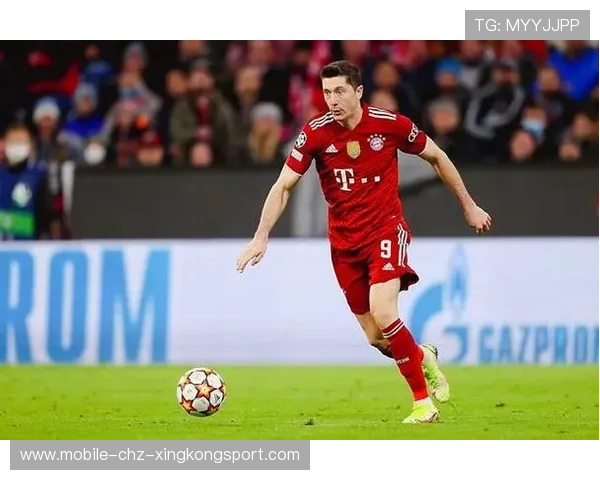 南非投球火力强劲，连胜势头延续，南非球星有哪些